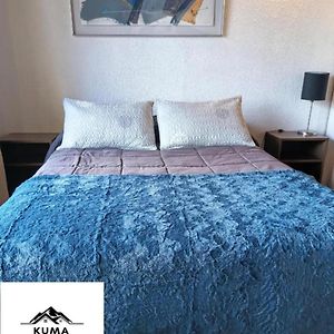 Apartamento de 1 Dormitorio